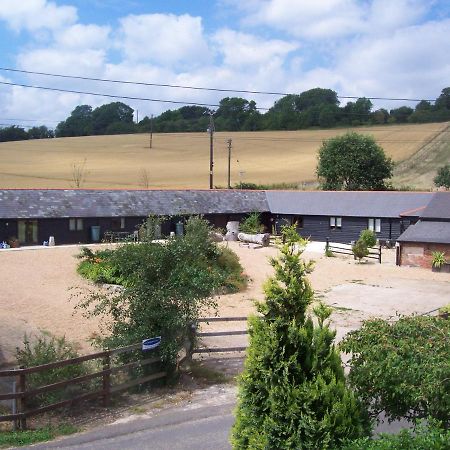 Five Cottages In Aonb And A Hobbit House! Canterbury Zewnętrze zdjęcie